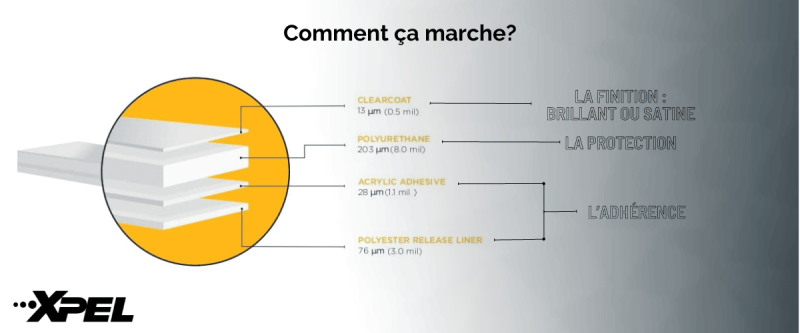 Qu'est ce que le film de protection PPF à Noisy-le-Roi près de Saint-Germain-en-Laye